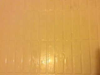 IMG_0433.JPG